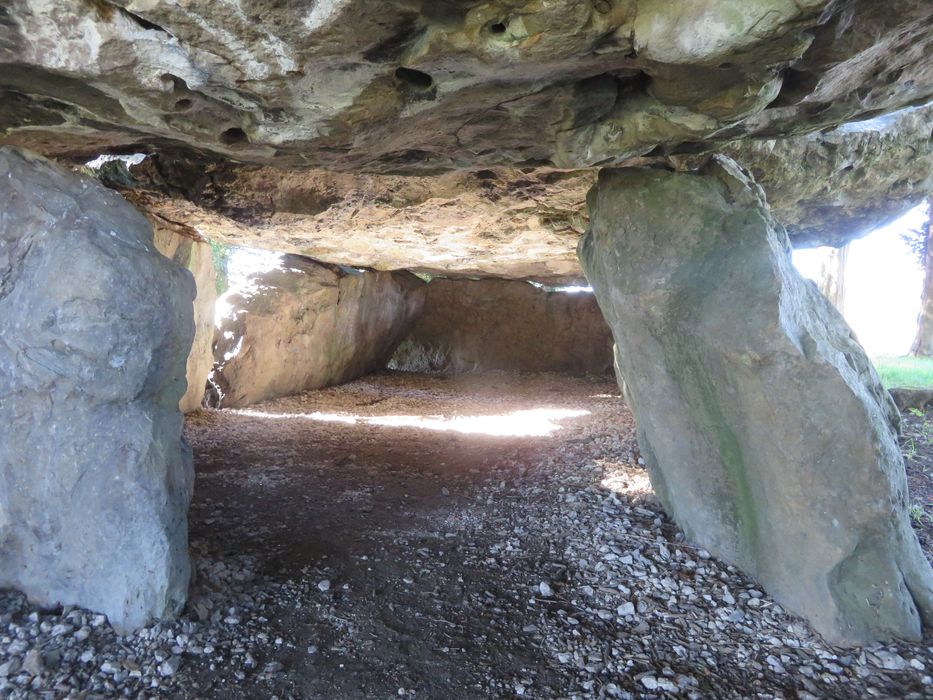 Dolmen dit de Mettray ou de la Grotte aux Fées, vue partielle