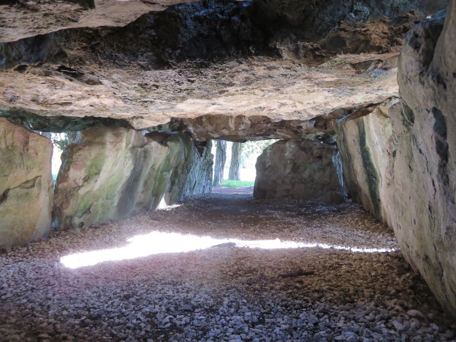 Dolmen dit de Mettray ou de la Grotte aux Fées, vue partielle