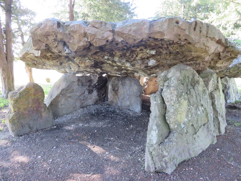 Dolmen dit de Mettray ou de la Grotte aux Fées, vue partielle