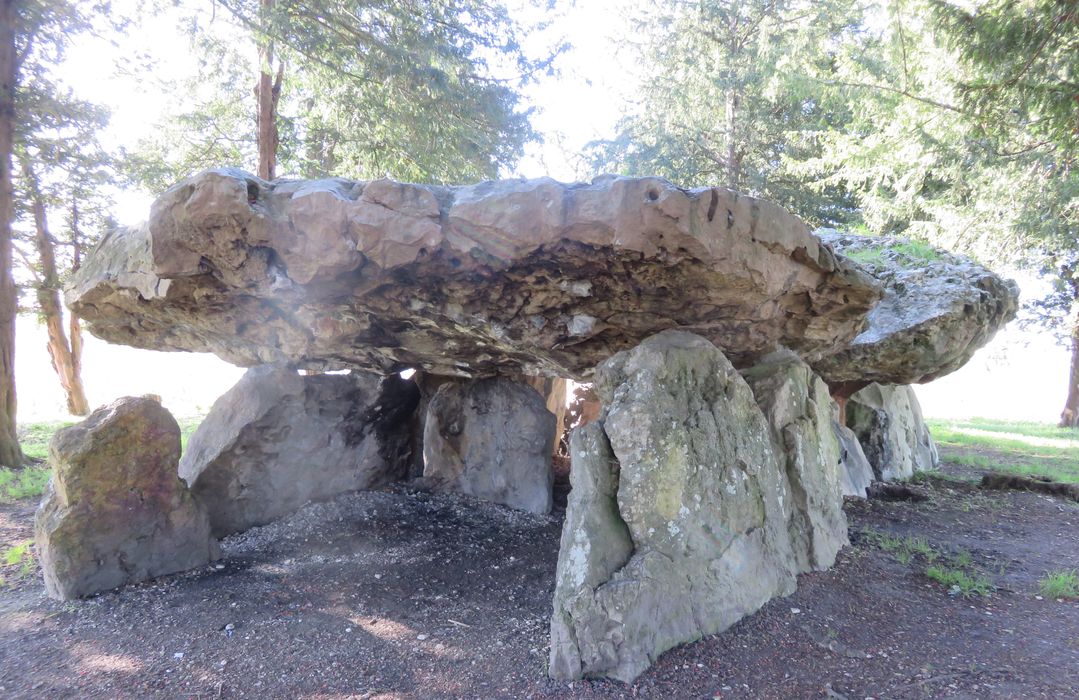 Dolmen dit de Mettray ou de la Grotte aux Fées, vue générale