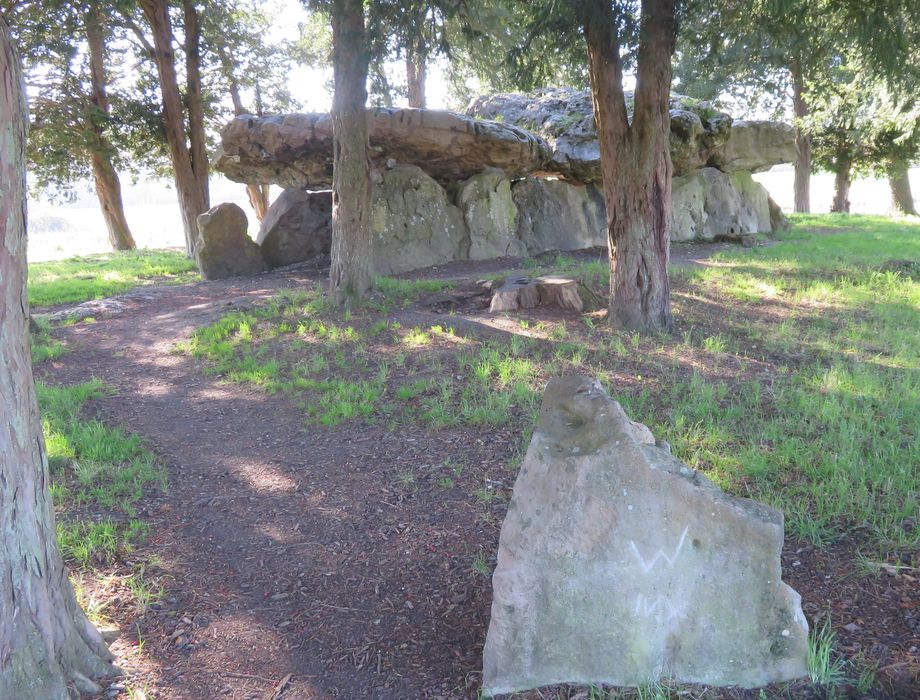 Dolmen dit de Mettray ou de la Grotte aux Fées, vue générale