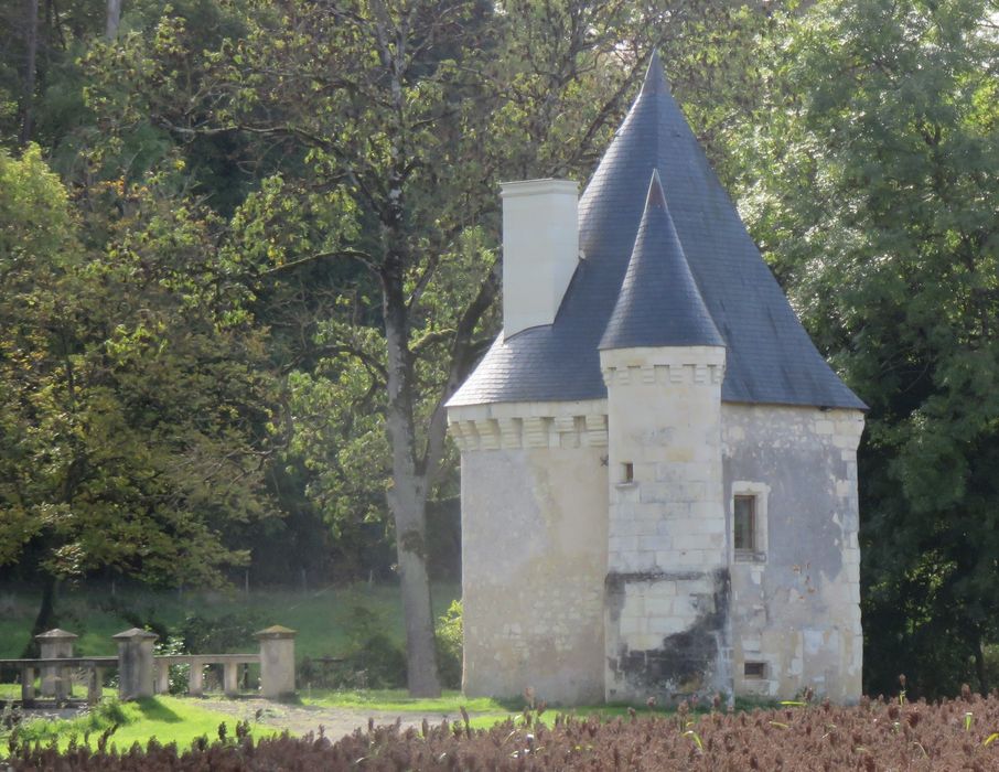 Ancien château de Montgauger (ou Mongoger) : Tour Nord, vue générale