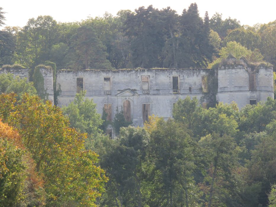 Ancien château de Montgauger (ou Mongoger) : Vue partielle des ruines du logis