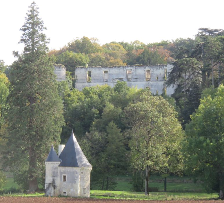 Ancien château de Montgauger (ou Mongoger) : Vue partielle du site