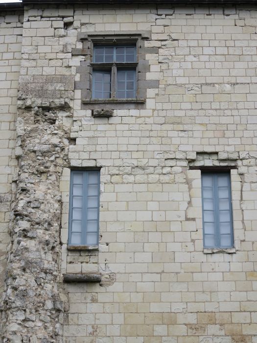 Ancien château : Logis, façade est, vue partielle