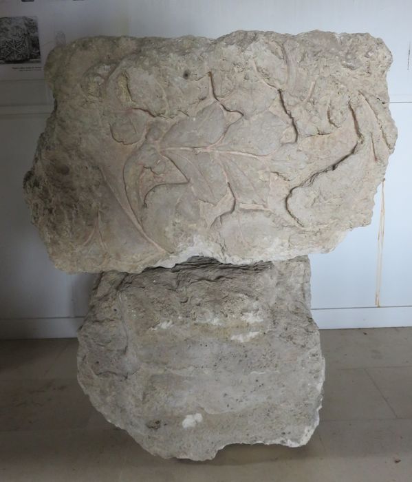 sculpture (fragment lapidaire)