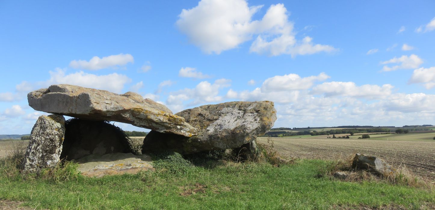 Vue générale du dolmen dans son environnement