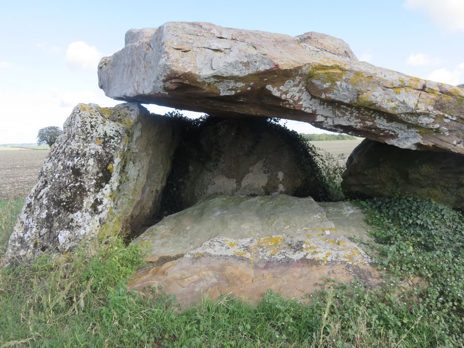 Vue partielle du dolmen