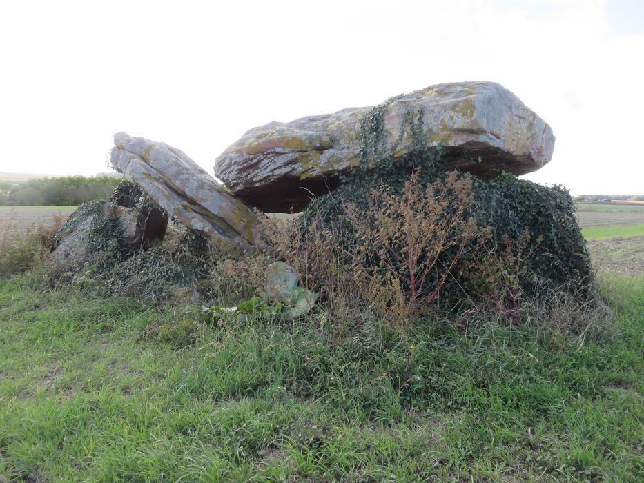 Vue générale du dolmen