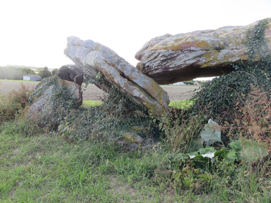 Vue partielle du dolmen