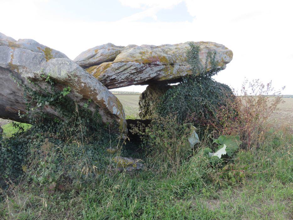 Vue partielle du dolmen