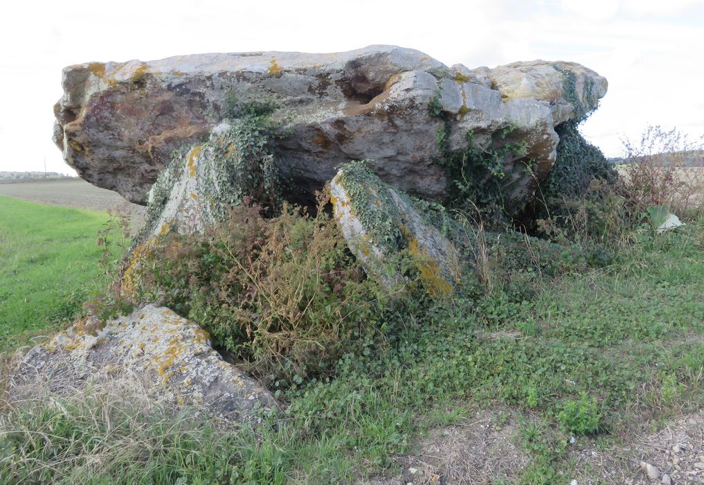 vue générale du dolmen