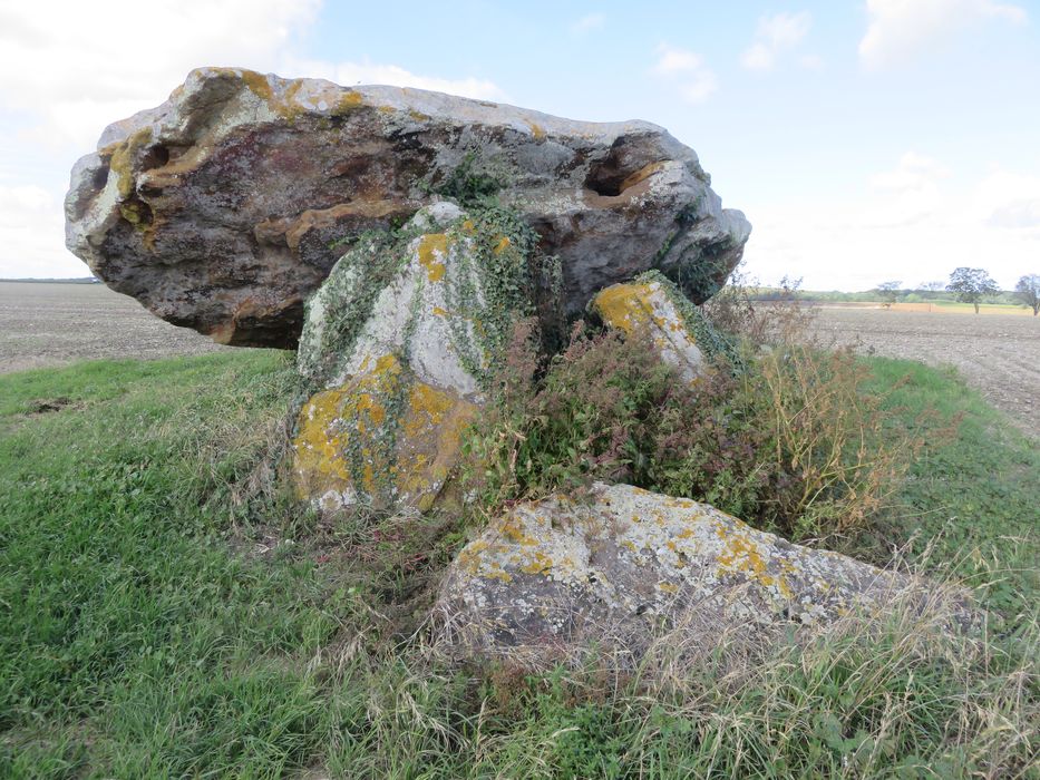 Vue générale du dolmen