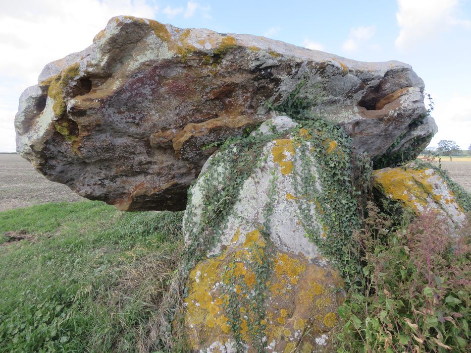 Vue partielle du dolmen