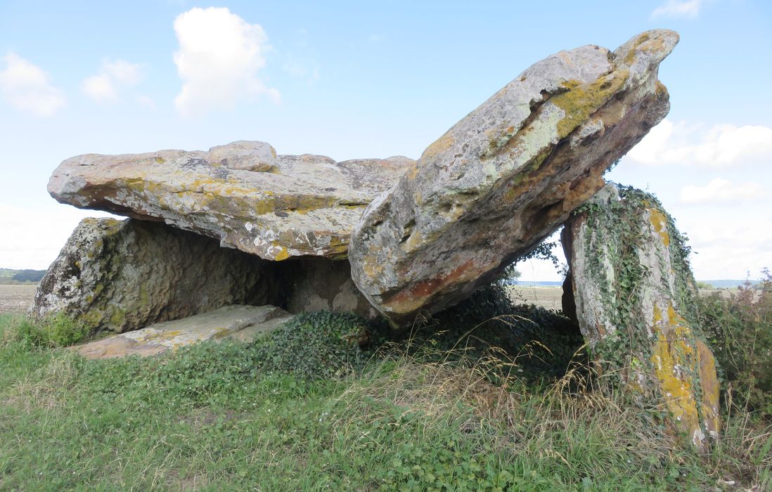 vue générale du dolmen