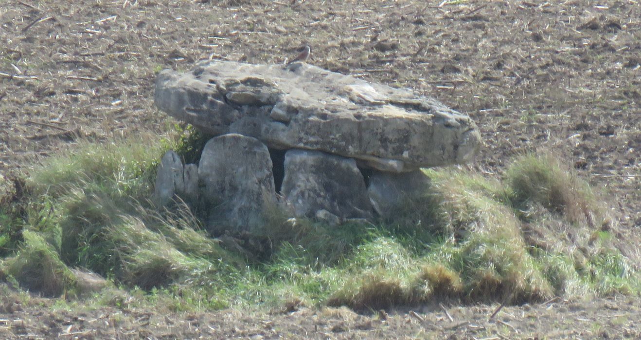 Vue générale du dolmen