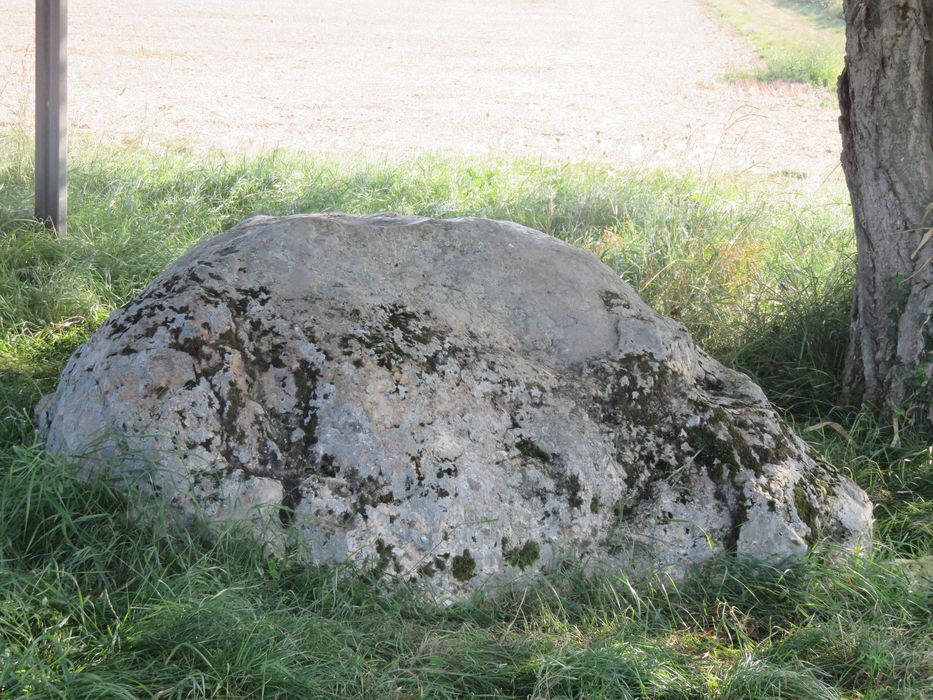 vue générale du polissoir