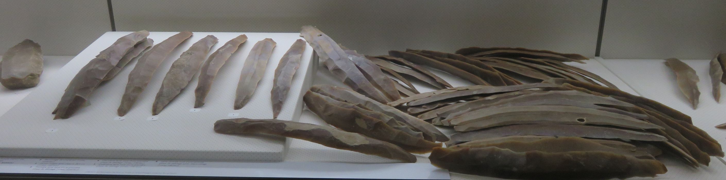 armes blanches (lames)