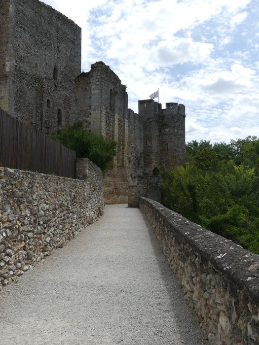 vue partielle des vestiges depuis le Nord-Ouest