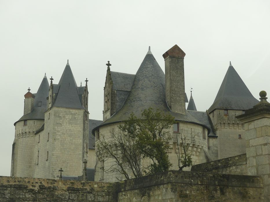 Vue partielle du château depuis le Nord-Ouest