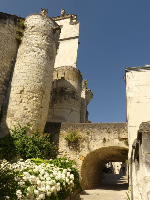 vue générale des tours depuis l’Est