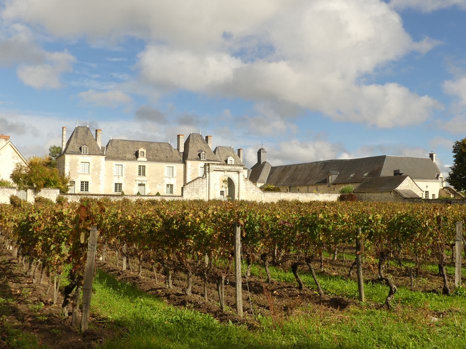 vue générale du château dans son environnement depuis le Sud-Ouest