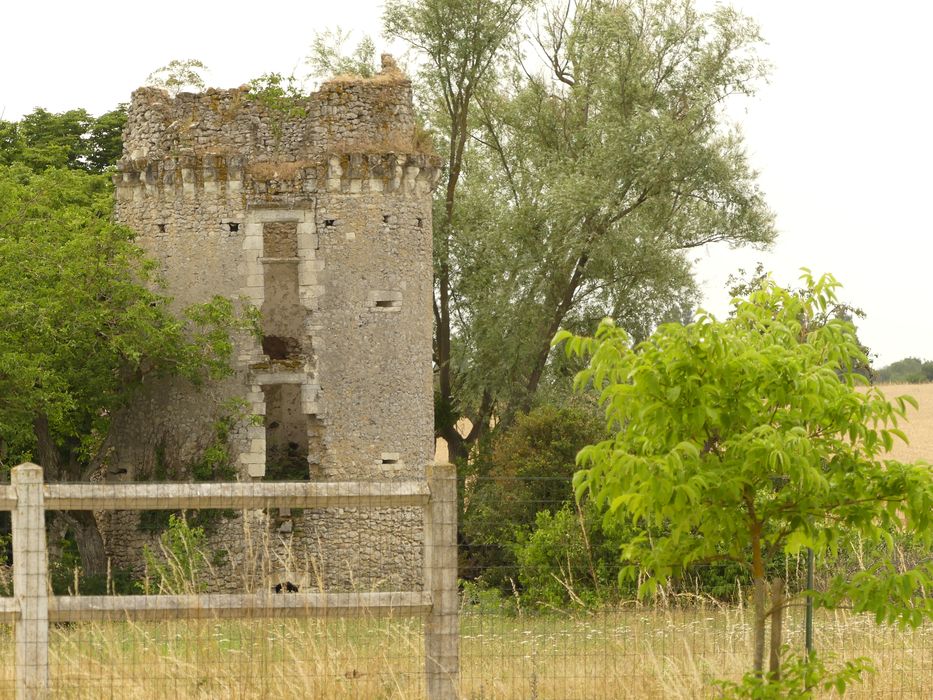 vue partielle des ruines