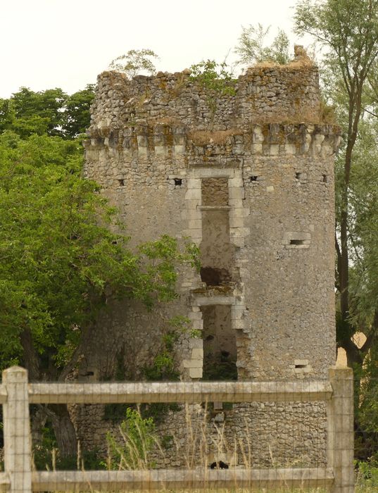 vue partielle des ruines