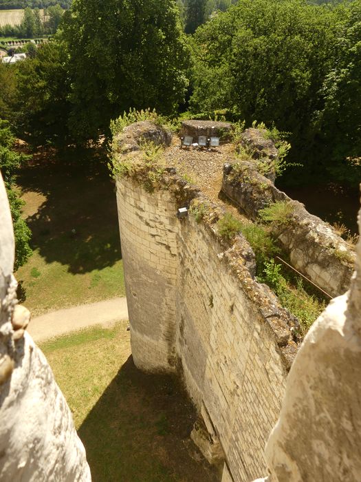 donjon, tour Philippe Auguste