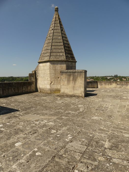 donjon, tour Neuve, vue partielle de la terrasse