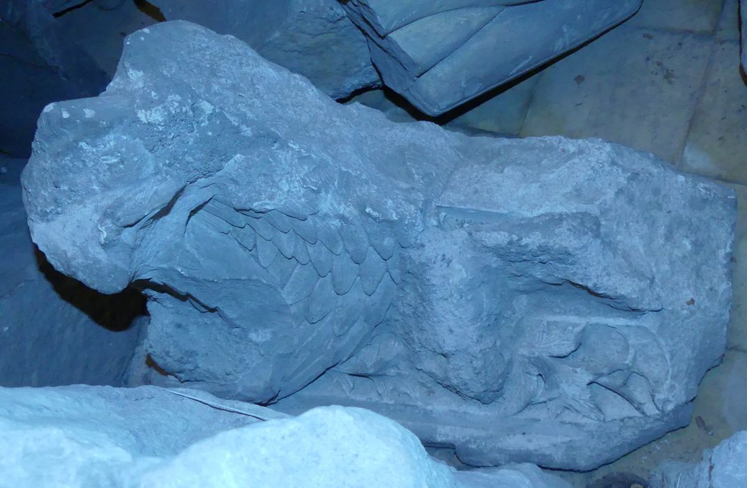 Sculptures (fragments) : Aile d'oiseau, Encolure de cheval