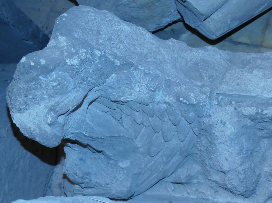 sculptures (fragments) : Aile d'oiseau, Encolure de cheval