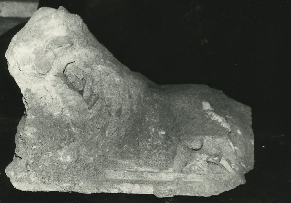 sculptures (fragments) : Aile d'oiseau, Encolure de cheval