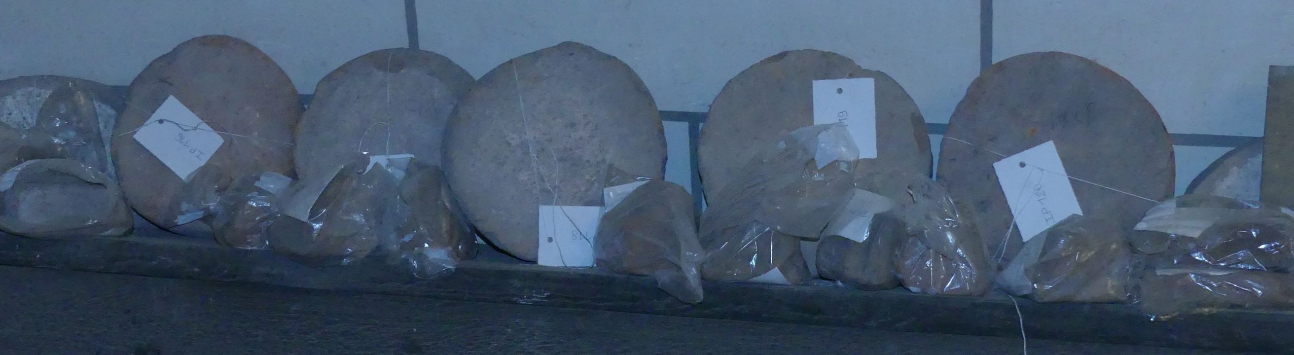 oeuvres de fonction non identifiée (11 disques)