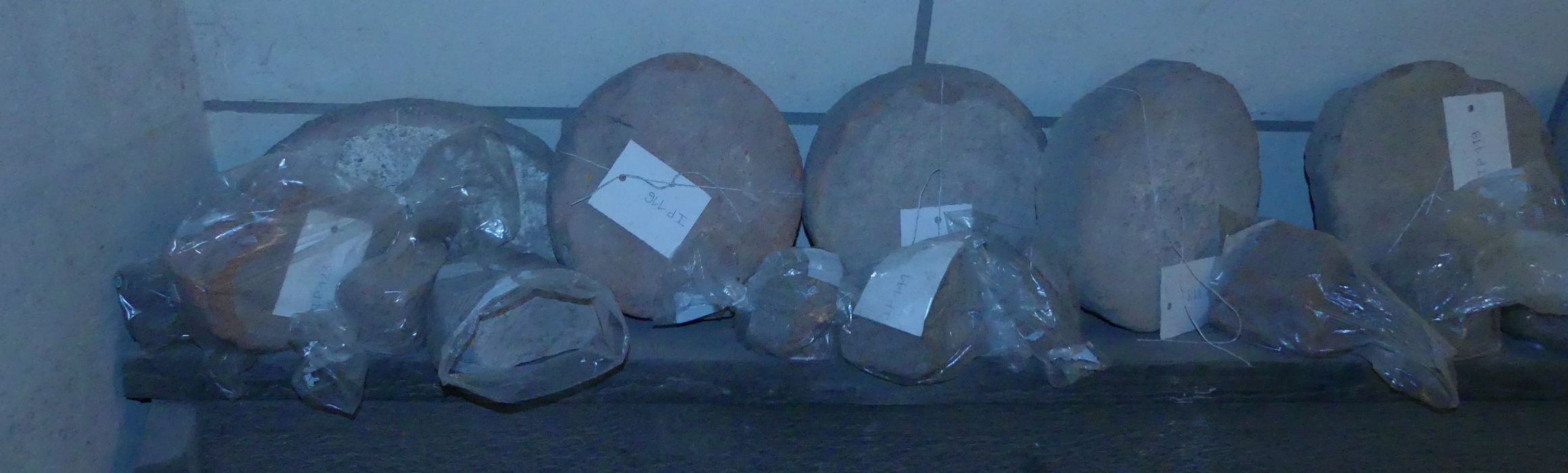 oeuvres de fonction non identifiée (11 disques)