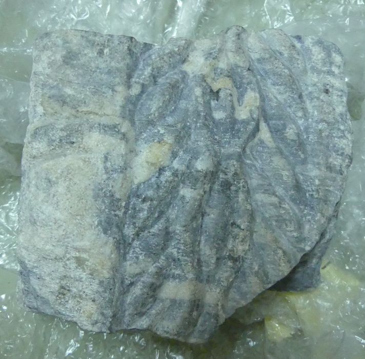Fragment de colonnette