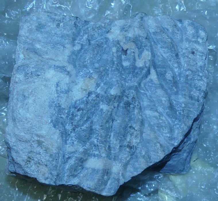 fragment de colonnette