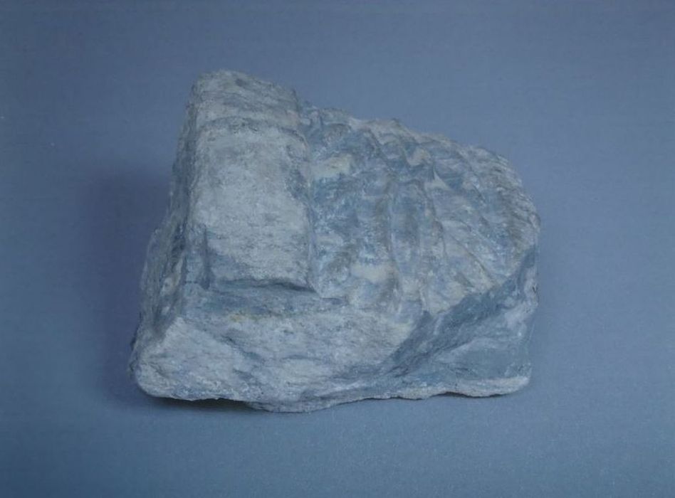 fragment de colonnette