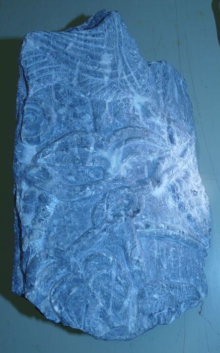 fragment de colonnette