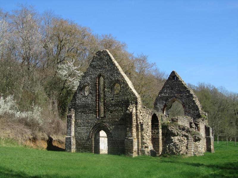 Ruines de la chapelle de Guériteau : ensemble sud-ouest, vue générale