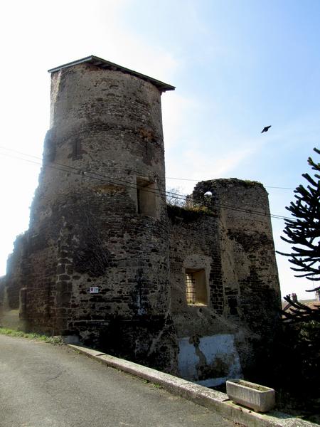 Ruines du château : vue partielle des fortifications