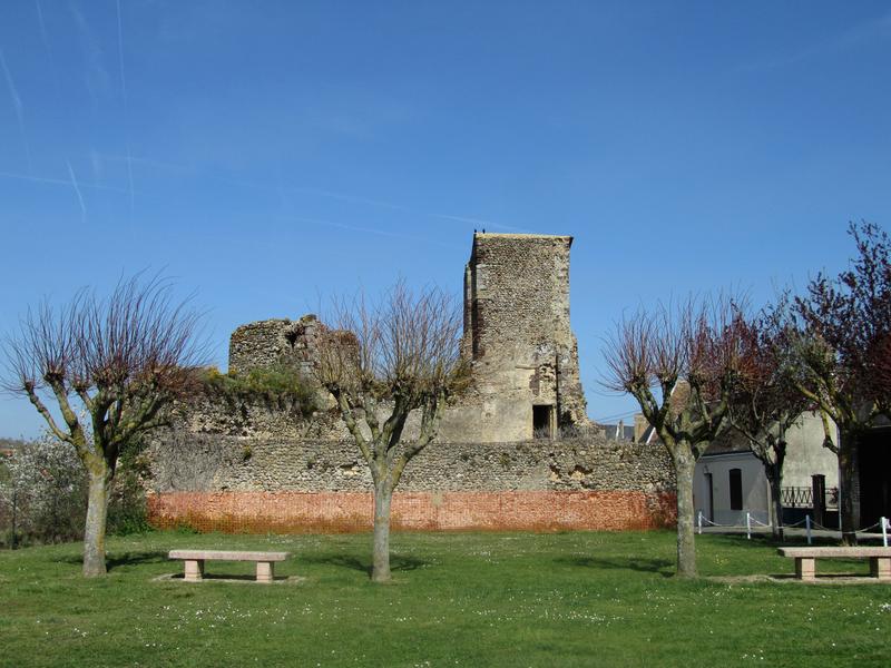 Ruines du château : vue générale des ruines dans leur environnement