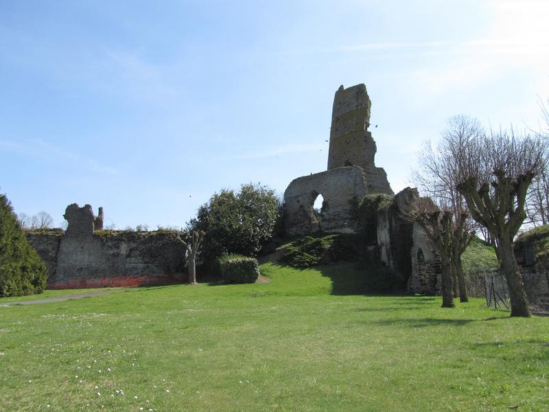 Ruines du château : vue générale des ruines dans leur environnement