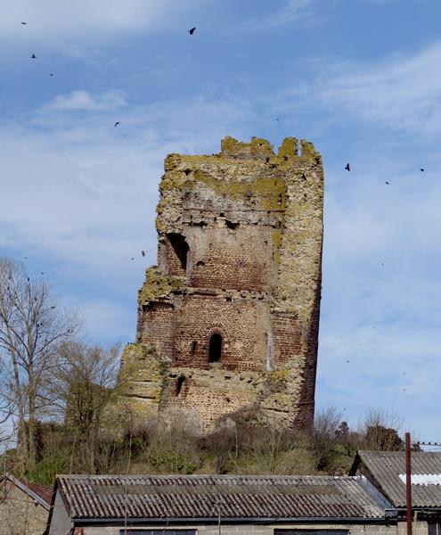 Ruines du château : vue générale du donjon