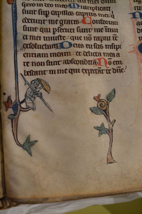 livre liturgique : bréviaire, détail