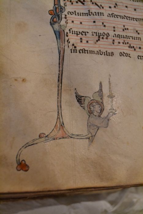 livre liturgique : bréviaire, détail