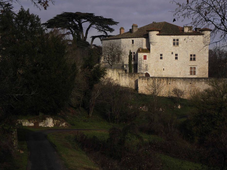 vue générale du château dans son environnement depuis le Sud