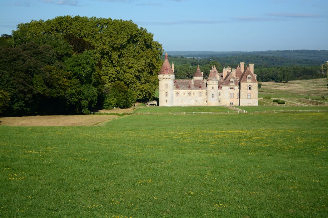 vue générale du château dans son environnement depuis l’Est