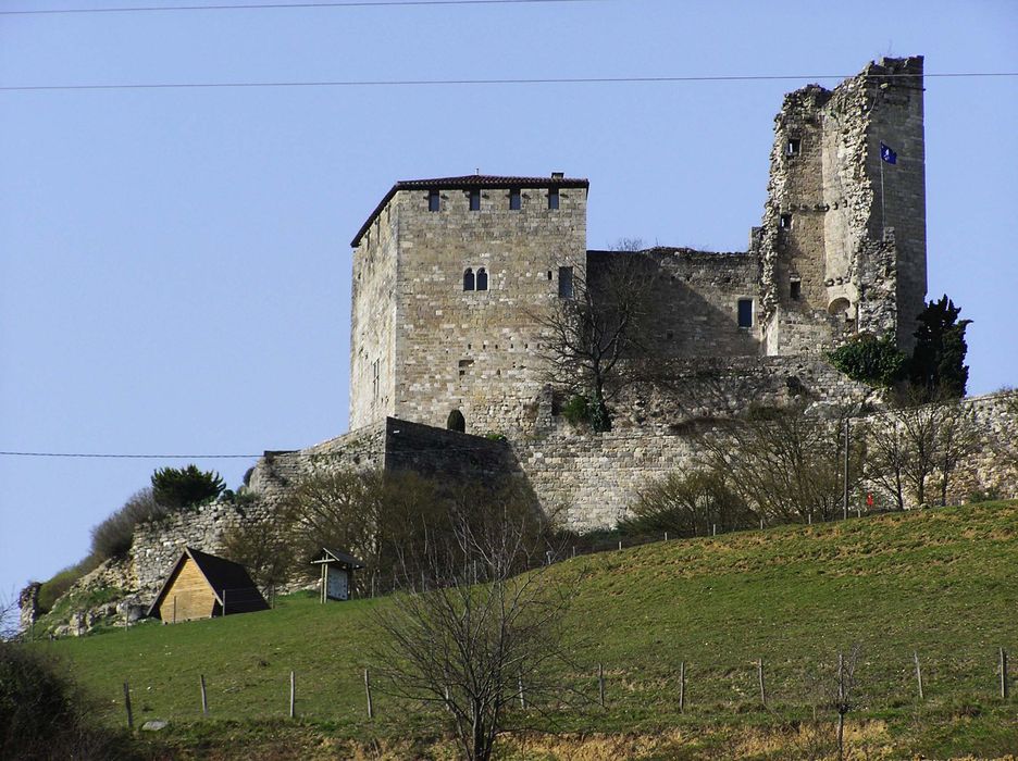 Ruines du château féodal