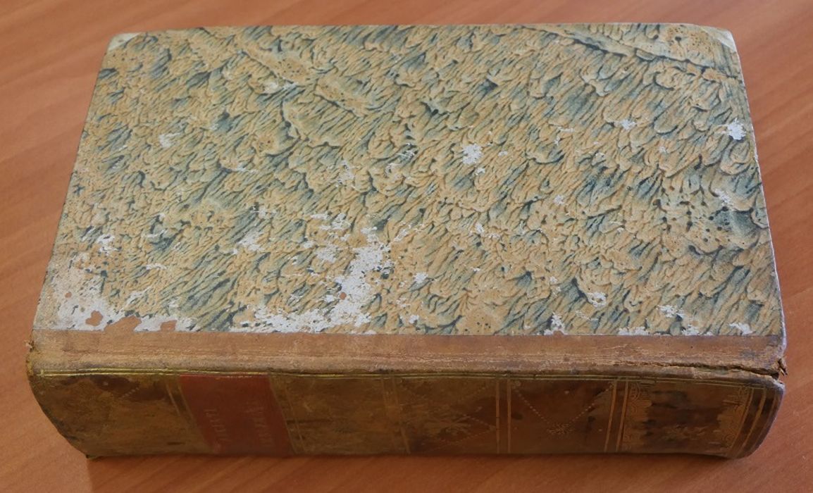 livre : Emblemata cum Claudii I.C., Ex officina Platiniana Raphelengii de Andrea V.C. Alciati